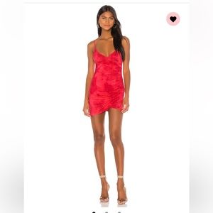 NWT Red Superdown dahlia dress